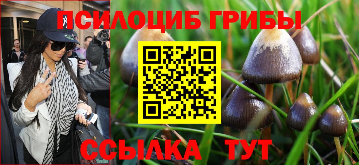 Галлюциногенные грибы Magic Shrooms Татарск